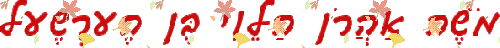 מֹשֶׁה אַהֲרֹן הַלֵוִי בֶּן הֶערְשֶׁעל