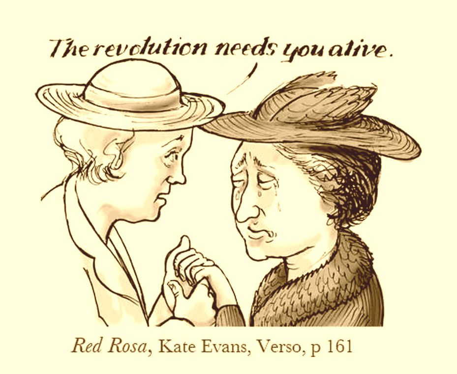 Red Rosa