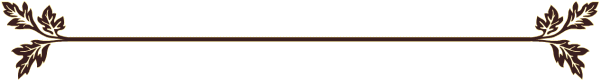horizontal rule